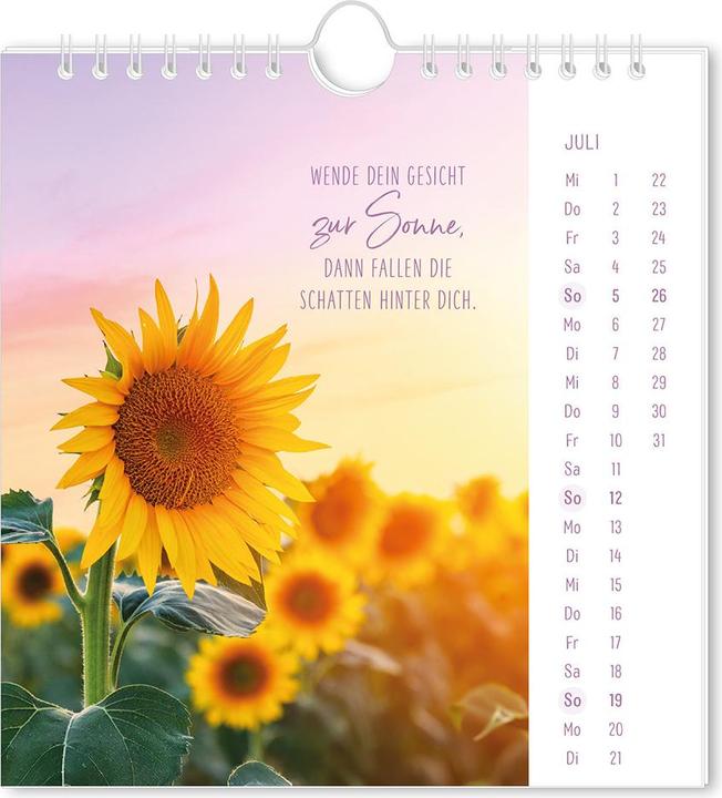 Produktbild Postkartenkalender 2026 Lichtblicke (16 x 17 cm, Harter Einband, Deutsch)
