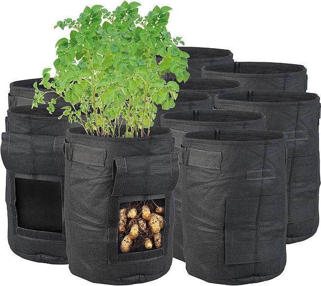 Image du produit Royal Gardineer Lot de 10 sacs de croissance pour plantes (20 cm, 20 cm)
