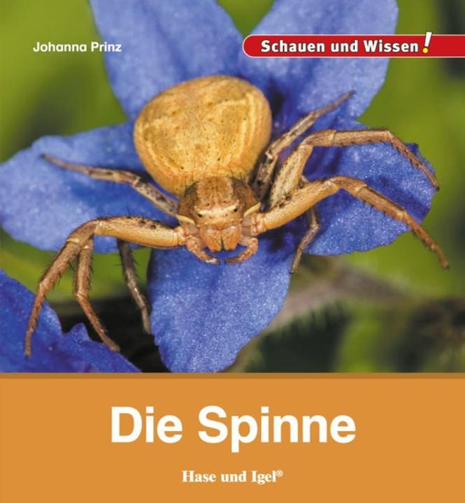 Actual product image Die Spinne (German, Joanna Prince, 2017)