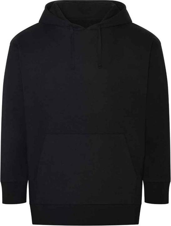 Awdis Erwachsene Krater Recycled Hoodie (XL)