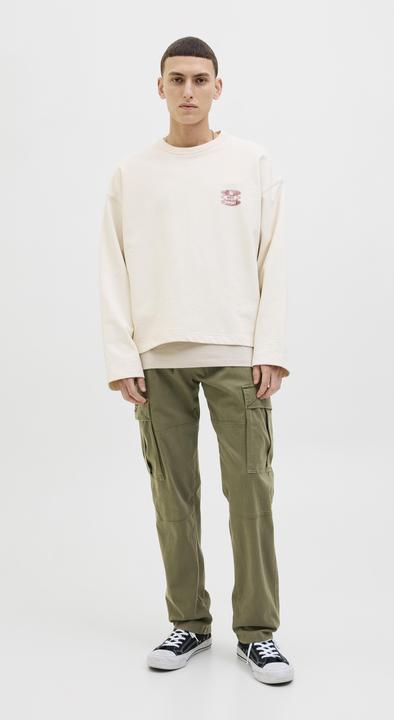 Actual product image Jack & Jones Relaxed Fit Relaxed Fit Hosen Relaxed Fit Hosen (W32/L32)