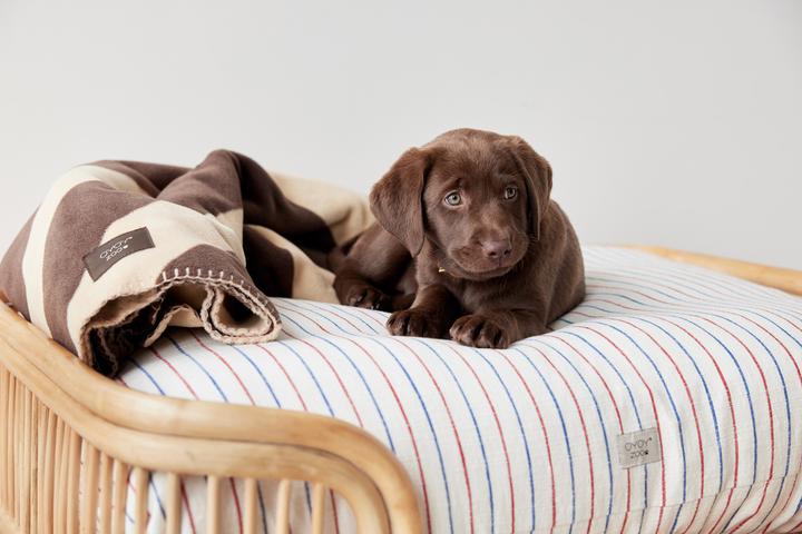 Image du produit Oyoy Lit pour chien Otto (Chien)