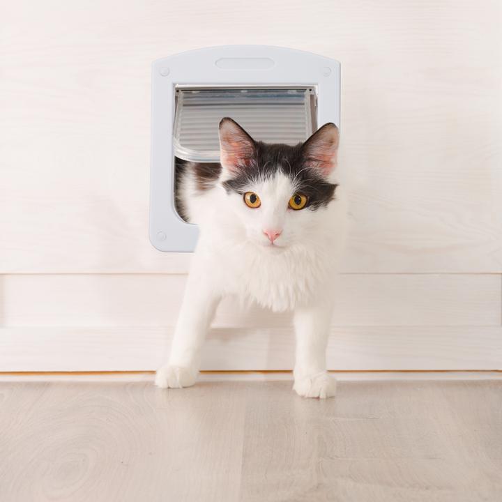 Produktbild Relaxdays Haustierklappe (Magnetische Katzenklappe)