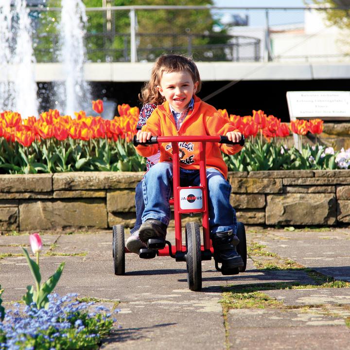 Actual product image Jaalinus Tricycle cab