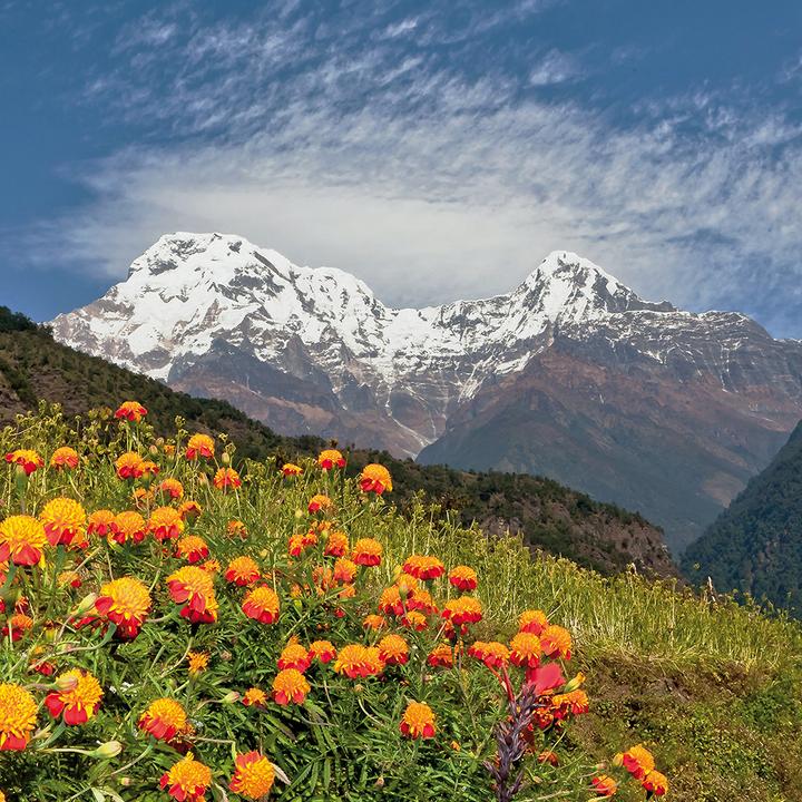 Actual product image Himalaya 2024 (30 x 30 cm, Hardcover, Spanish, French, Italian, Polish, English, Dutch, Czech, German)