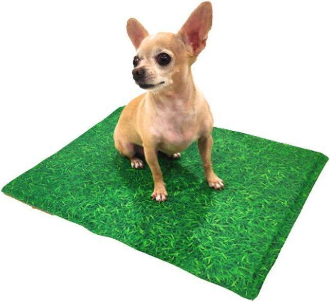 Actual product image Croci Spa Antimosquit Grass cooling mat 50x40cm (Dog)