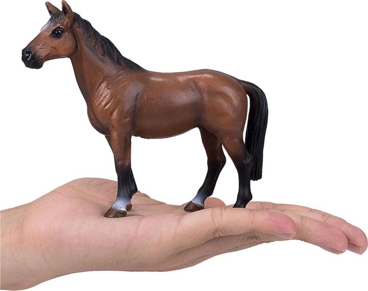 Produktbild Animal Planet Trakehner