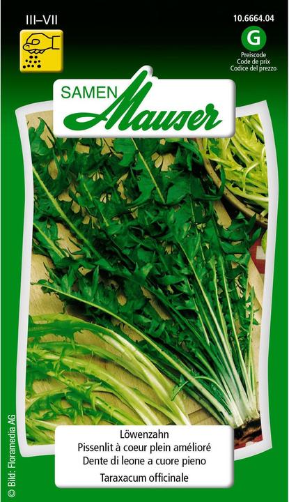 Actual product image Samen Mauser Dandelion (Vegetable seeds)