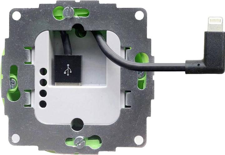 smart things sCharge 12W Lightning (12 W)