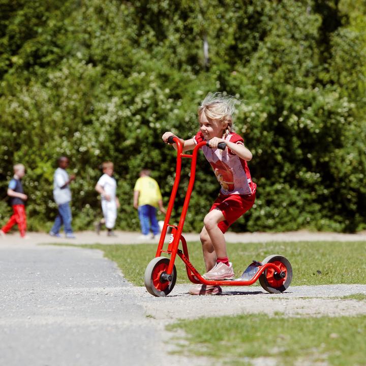Actual product image Winther Viking scooter