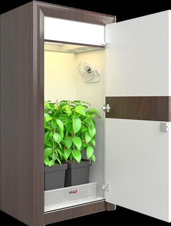 Urban Chili Kit complet de culture LED 3.0