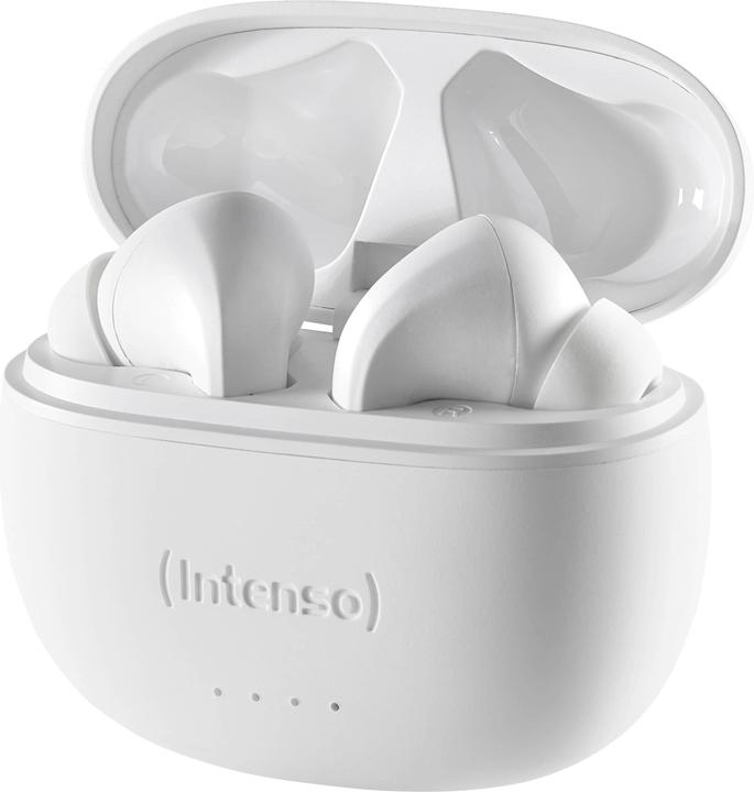 Image du produit Intenso Bourgeons blancs T302A (ANC, 2 h, Filaire)