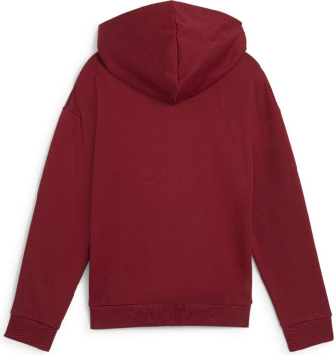 Produktbild Puma ESS+ SCRIPT Metallic Hoodie FL G (152)