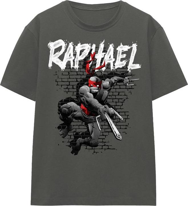 Teenage Mutant NT TShirt (XL)