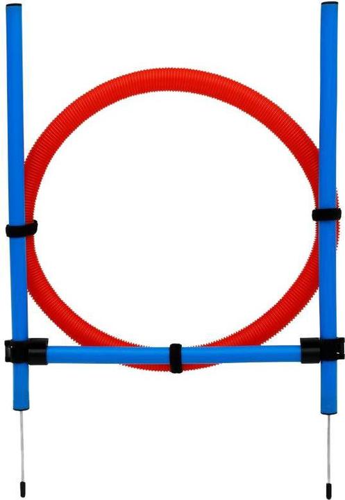 Pet Toys Dog Jump Ring Set (Agility)