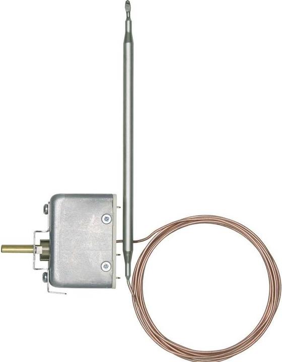 Jumo Temperature controller Built-in thermostat EM 1 (TR), pole