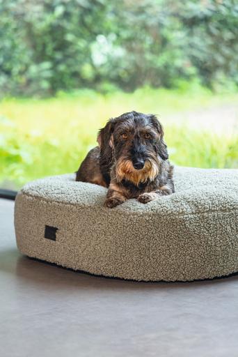 Actual product image Designed by Lotte Ribbed (Dog)