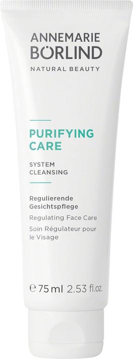 Annemarie Börlind Purifying Care (75 ml, Nachtcreme)