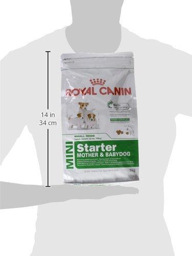 Actual product image Royal Canin Mini Starter Mother & Babydog 1kg (Senior, 1 pcs., 1000 g)