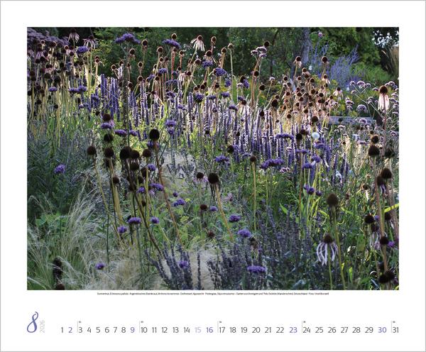 Produktbild Gartenträume 2026 (Englisch, Französisch)