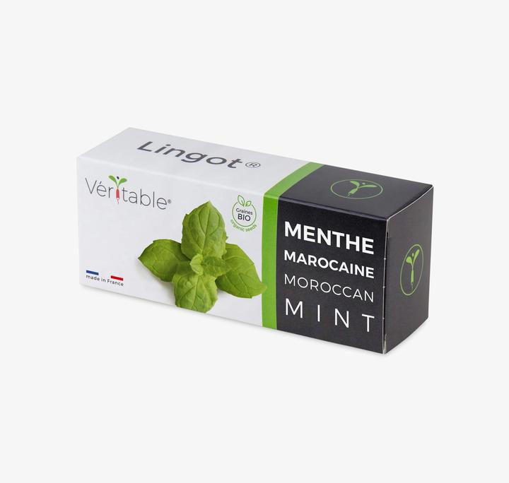 Produktbild Véritable Marokkanische Minze (Pflanzensamen)