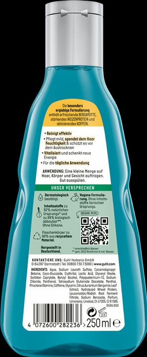 Immagine prodotto Guhl Uomo 3in1 Shampoo Freschezza e Cura (250 ml, Shampoo liquido)