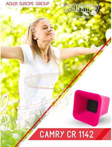 Image du produit Camry CR1142 haut-parleur rose (Fonctionnement sur batterie)