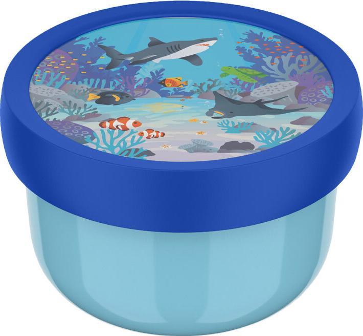 Tropical Ocean