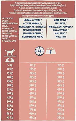 Actual product image Purina DOG CHOW Sensitive With Salmon su lašiša 14kg (Senior, 1 pcs., 14000 g)