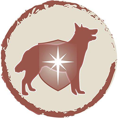Actual product image Purina DOG CHOW Sensitive With Salmon su lašiša 14kg (Senior, 1 pcs., 14000 g)