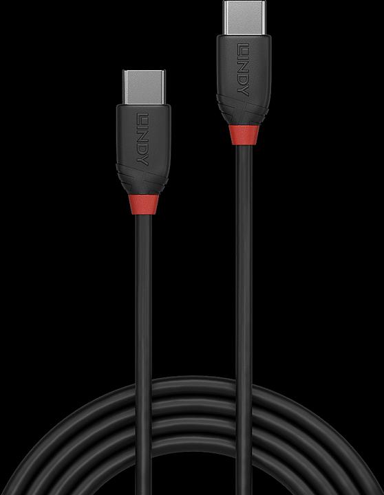 Produktbild Lindy Black Line (0.50 m, USB 3.1)