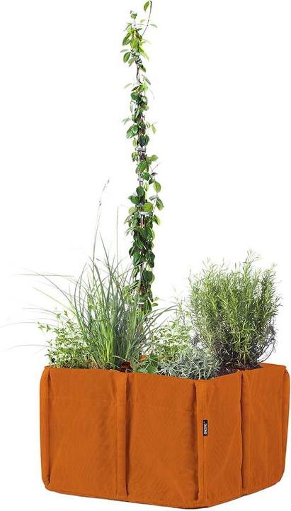 Image du produit Bacsac Bacsquare (60 cm)