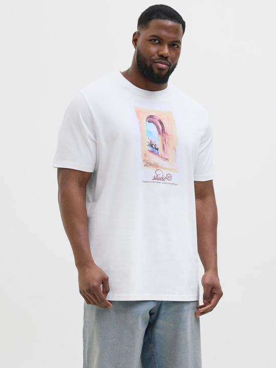 Actual product image Jack & Jones Plus Size T-shirt T-shirt (3XL)