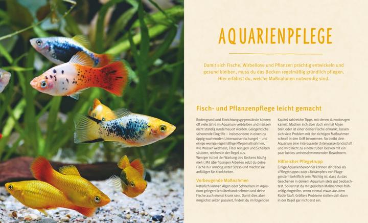 Produktbild Aquarien - Spass für Kinder (Aquarium Pflanzenpflege)