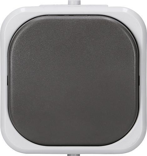 Produktbild REV AQUATOP FR Taster grau