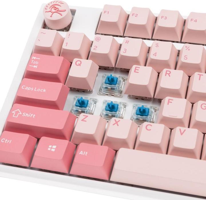 Image du produit Ducky Clavier de jeu One 3 Gossamer TKL Pink - MX-Blue (US) (US, Filaire)