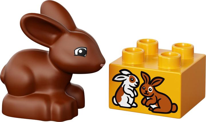 Image du produit LEGO DUPLO Grande boîte à pierres fille (10571)