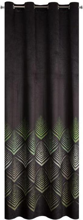 Olive, Black