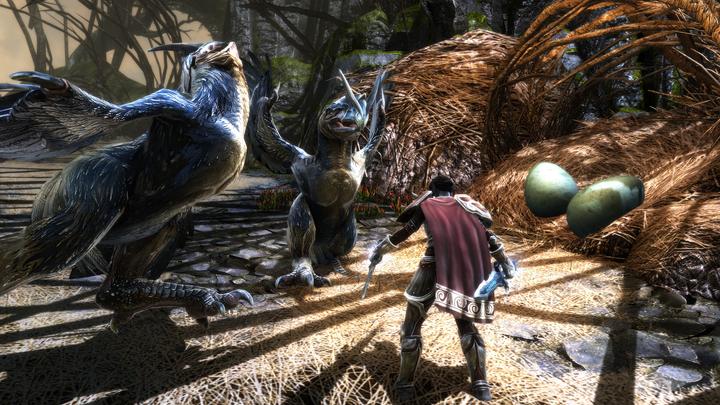 Image du produit THQ Kingdoms of Amalur - Reckoning Edition définitive (PS4, IT, FR)