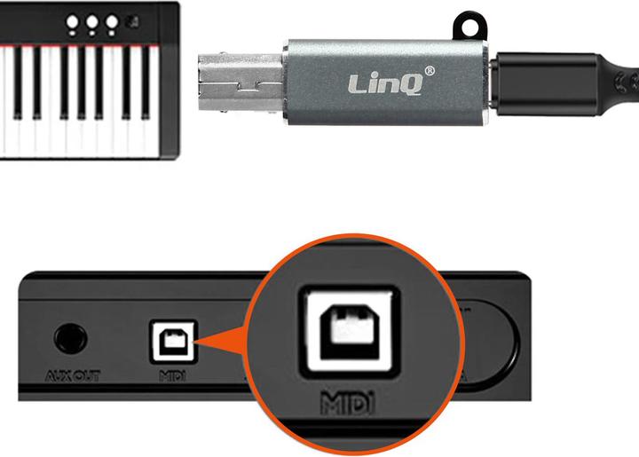 Image du produit LinQ Adaptateur USB-C femelle / USB-B mâle (USB Type C, USB-A)