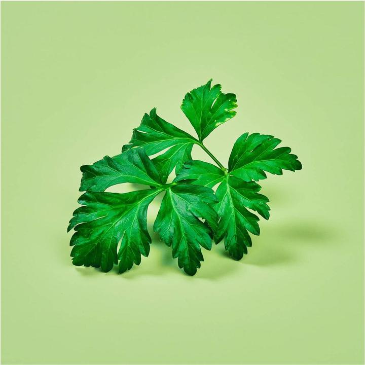 Immagine prodotto Plantui prezzemolo (Semi di erbe)