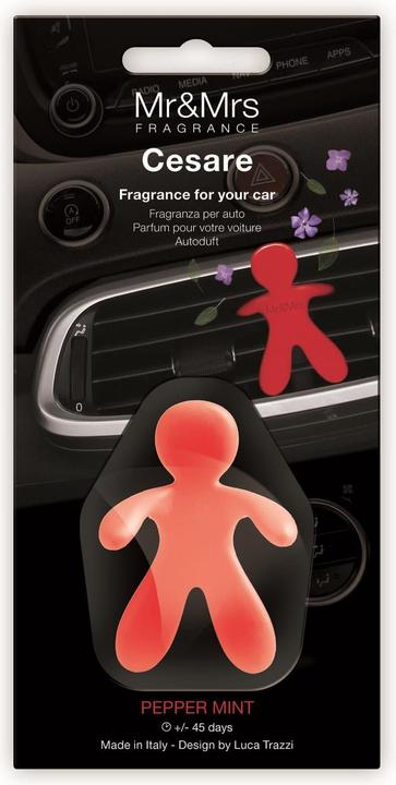 Actual product image Mr & Mrs Fragrance Cesare