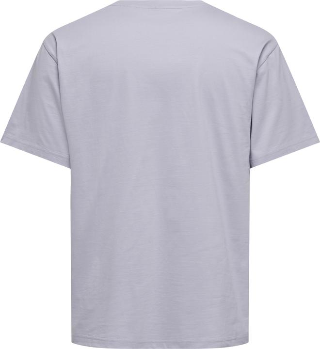 Actual product image Only & Sons Onsfred Life Rlx Ss Tee Noos (L)
