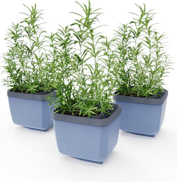 Productafbeelding Gusta Garden Kruiden Buddy kruidenpot (50 cm)