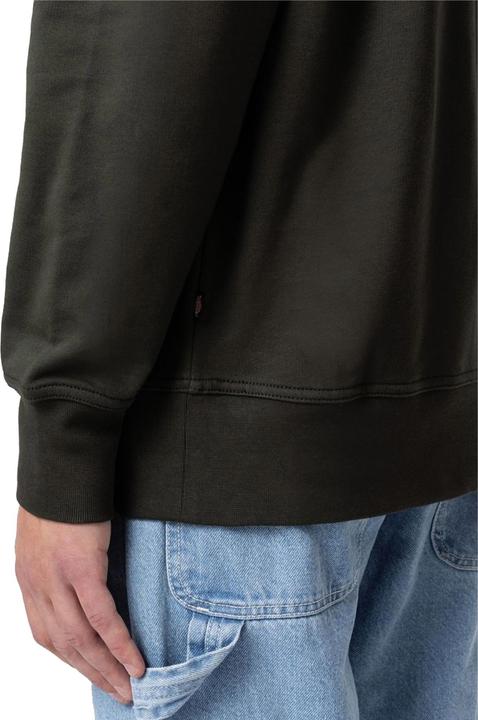 Immagine prodotto Dickies Mount Vista Crew (S)