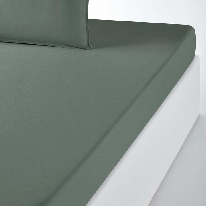 Eucalyptus green