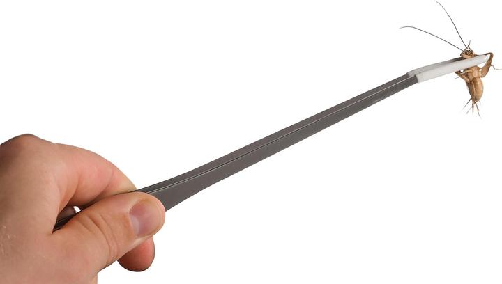 Actual product image Exo Terra Tongs Food Tweezers
