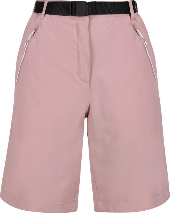 Regatta Xert Shorts (36)