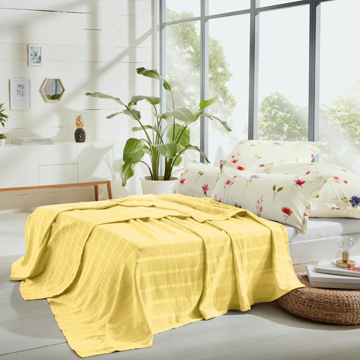 Immagine prodotto Erwin Müller Coperta estiva (150x200 cm)