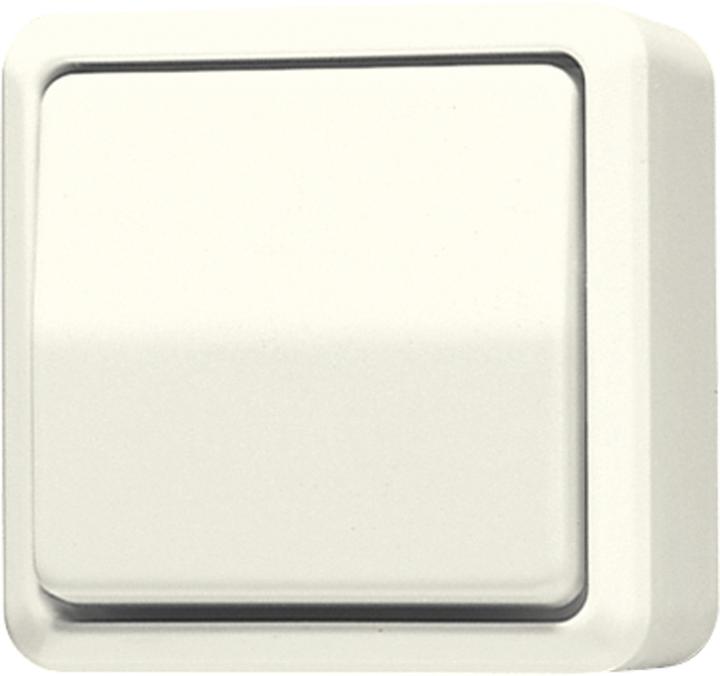 Actual product image JUNG Rocker switch AP 600 ws glz AP IP20 1f 602A